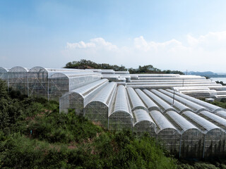 aerial view greenhouse on mountain