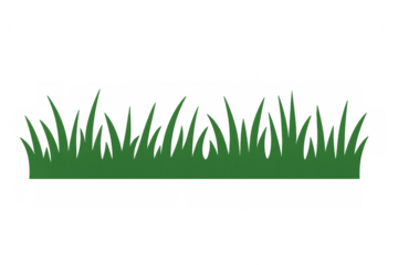 Green grass border illustration set on a transparent background. Simple grass blades creating a natural growth element