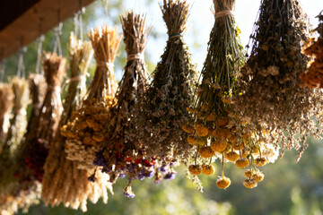 close up of dried flowers