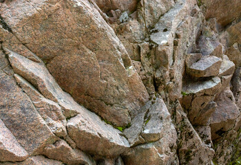 a stone plateau in an alpine area in the spring of the year, flowering plants