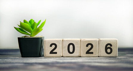 New year 2026 concept. Plain background text with a plant