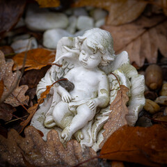 Ein wei&szlig;er Cherub zwischen Herbstlaub als Grabschmuck