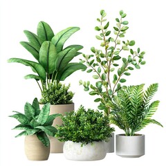 Photo of Plastic plants Isolated on white background