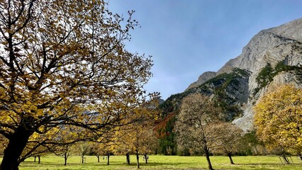 Wanderung, Tirol, großer Ahornboden, Herbst, Landschaft