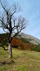 Wanderung, Tirol, großer Ahornboden, Herbst, Landschaft