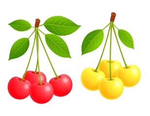 Two clusters of ripe cherries, one red, one yellow, with green stems and leaves, set against a white background