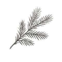 Freehand vintage Pine Branch scribble isolated on white background. Texture of writing materials. Handwritten christmases doodles and pencil strokes. Hand drawn christmas tree png

