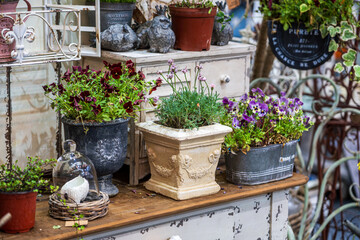 Charming Vintage Flower Pots Arrangement in a Rustic Setting