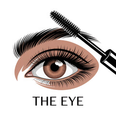 3d rendered illustration of a human eye with mascara application isolated on transparent background