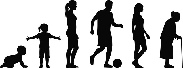 Human life stages silhouettes, growth and aging, childhood to elderly, development concept, education illustration, lifestyle art, generational timeline design