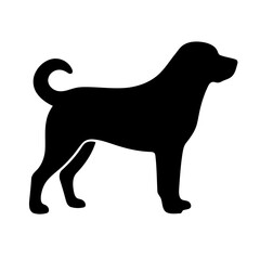 kangal dog vector