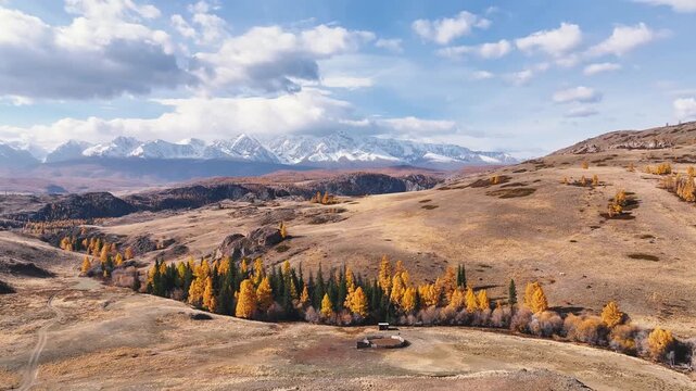 Explore the breathtaking autumn landscapes of the Altai Mountains with stunning aerial views of valleys and golden larches