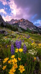 Mountain meadow bursts with wildflowers at sunset