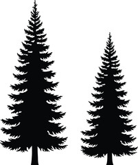 Evergreen tree silhouettes, tall pine trees vector, black and white illustration, forest natural concept, cad drawing flat vector illustration