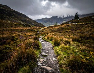 Mountain path winds through heather-covered hills under a cloudy sky