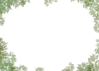 Fototapeta premium Green foliage frame on transparent background, artistic design templates of leaves nature illustration background.