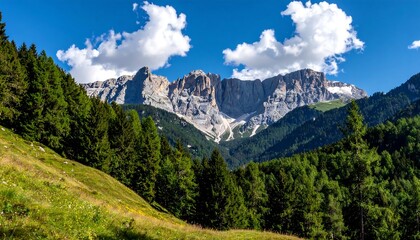 Mountain range panorama with lush forest