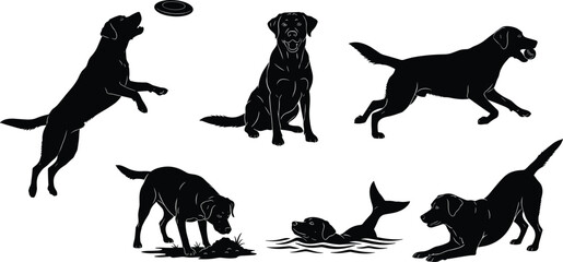 Collection of Labrador dog silhouettes in playful poses, jumping, swimming, running, fetching ball, detailed pet action illustration, cad drawing flat vector illustration
