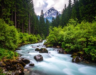 Mountain river flowing through lush forest