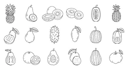 Collection of fresh tropical fruits drawn in a clean outline style for healthy lifestyle and design.