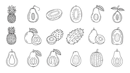 Fresh tropical fruits illustrated in a charming hand-drawn sketch style