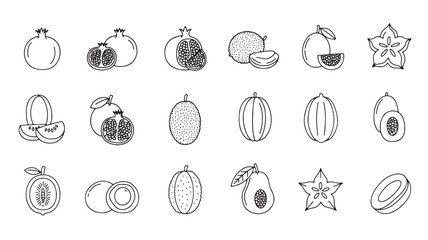 Collection of diverse fruits and their cross-sections, rendered in simple line art style