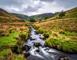 Mountain stream flows through valley