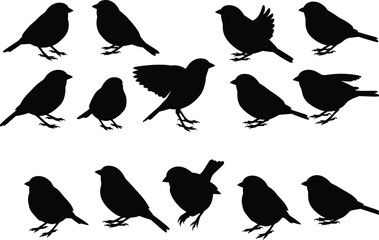 Small bird silhouette collection vector illustration, flying and sitting sparrows, wildlife animal art design, black bird shapes for nature projects