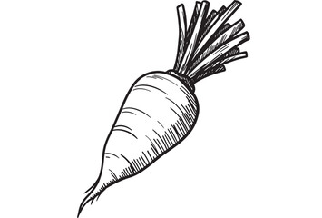 Rustic hand-drawn illustration of a fresh, healthy root vegetable with leafy greens.