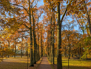 Autumn landscape in a park with a path leading into the distance