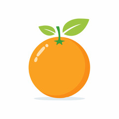 Simple vector illustration an orange, isolated on white surface