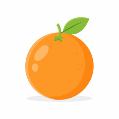 Simple vector illustration an orange, isolated on white background