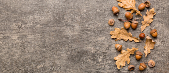 Branch with green oak tree leaves and acorns on colored background, close up top view