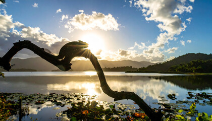 Obraz premium Chameleon on a Branch Silhouetted Against a Golden Sunset Over a Calm Lake and Mountains photo