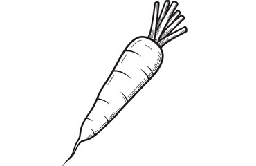 Simple hand-drawn illustration of a fresh carrot with green tops