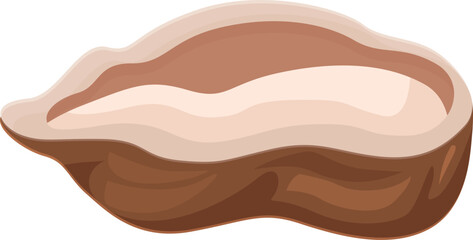 Opened peanut shell revealing the tasty seed inside, perfect for snacking or adding to recipes
