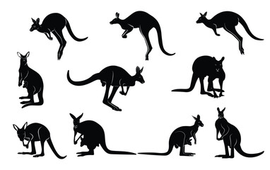 Silhouette of a herd of kangaroos in various poses. Vector illustration.