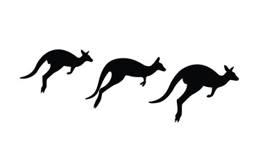Three jumping kangaroo silhouettes, vector illustration.