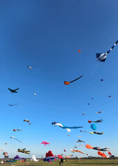 Vibrant kites frolic in azure skies like mythical creatures, invoking Basant Panchami festivities and the whimsical whimsy of Airborne Day