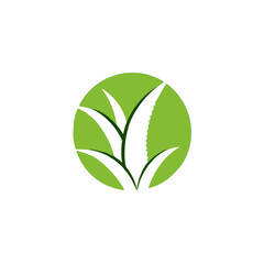 Logos of green Tree leaf ecology nature element vLogos of green Tree leaf ecology nature element vectorector