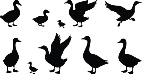 Duck silhouettes, flying ducks, walking ducks, duck family vector, waterfowl illustration, bird shapes, wildlife art, nature design, pond animals, duck clipart