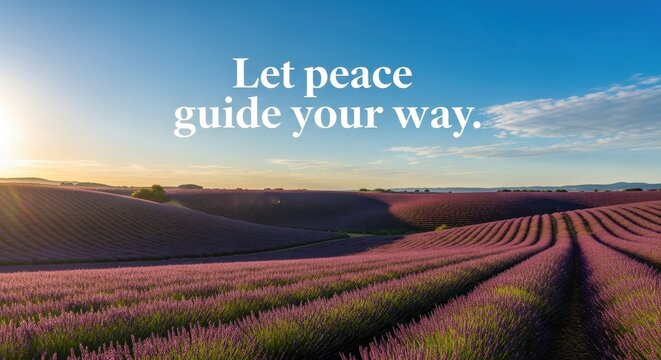 A beautiful landscape of lavender field with inspirational peace message - Powered by Adobe