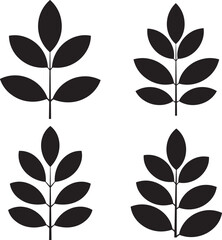 Obraz premium Four black leafy branch silhouettes on white background