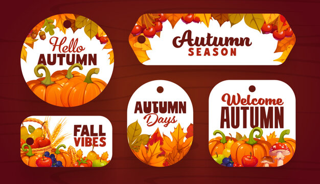 Thanksgiving sale and seasonal discount tag labels with ripe pumpkins, fruits, vegetables and corn cobs. Autumn leaves and berries for Thanksgiving advertising, retail discount and vector store tags