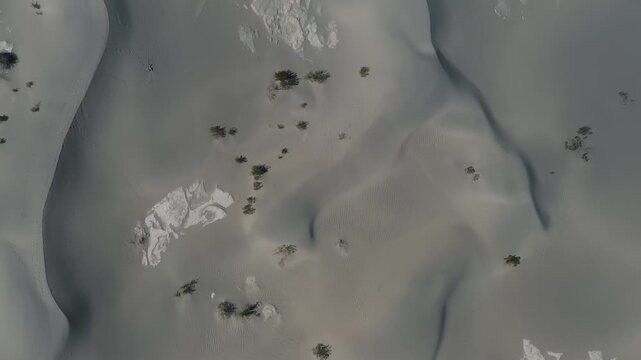 Top down aerial view showing smooth textured sand dunes with scattered shrubs and light shadows forming natural patterns in Eureka Valley, Death Valley National Park, California