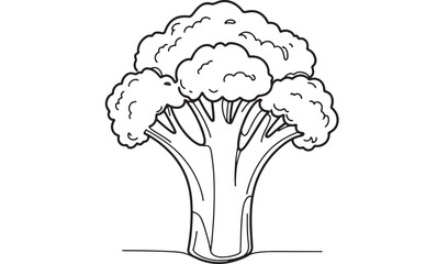 Simple line drawing of a fresh head of broccoli against a white background