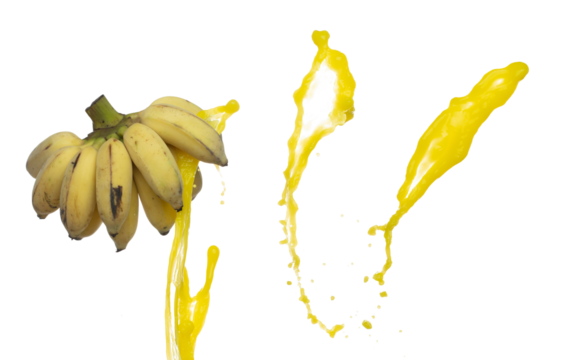 Banana flying explosion with fruit juice, Yellow Banana fresh vitamin water full complete size float in mid air. White background Isolated high speed shutter, throwing freeze stop