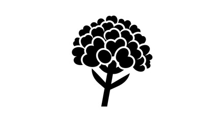 Black and white vector of Ageratum flower on white background