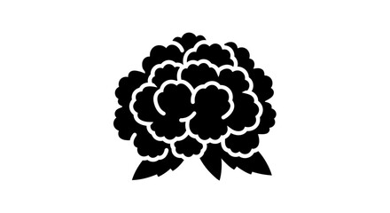 Black and white vector of Ageratum flower on white background