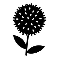 Black and white vector of Ageratum flower on white background